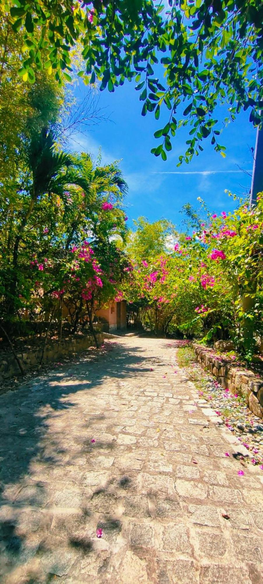 Wild Beach Boutique Resort 宁普 外观 照片
